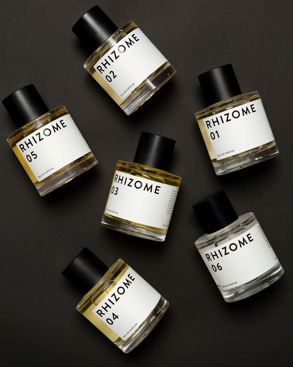 RHIZOME – STUDIO DEN