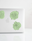 Mountain Sticker | Mt St Helens Topography | Vinyl Sticker