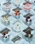 Shell Ginger Cube