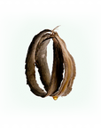 Body Scrub : Katrafay