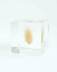Bunny Tail Grass Cube
