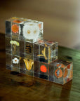 Immortelle Cube
