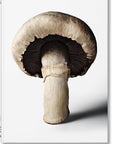Gourmand's Mushroom. A Collection of Stories & Recipes