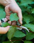 Garden Pruners