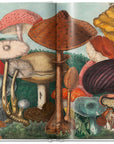 Gourmand's Mushroom. A Collection of Stories & Recipes