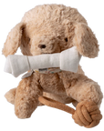 Pet Supply, Toys