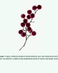Hand Cream: Amalgam 7