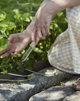 Japanese Hori Hori Garden Knife