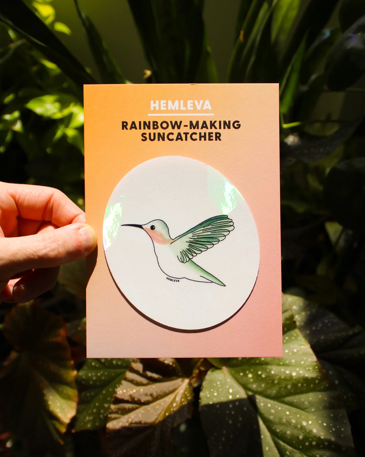 Suncatcher : Hummingbird