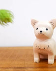 Chihuahua