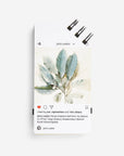 Phone Detox, Offline Activity Tool