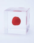 Huayruro Cube