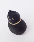 Black Cat Child