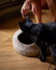 Cat Basket