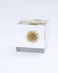 Globe Thistle Cube