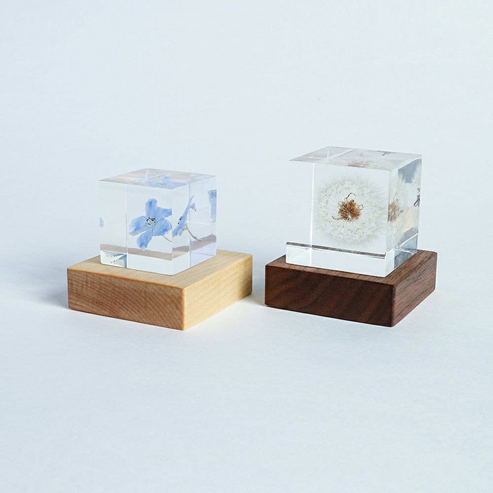 solacube Light Base6台 (solacubeは含みません) Sola Cube LED Light Base 5000K – STUDIO DEN