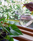 Glass Watering Can 32 fl.oz.