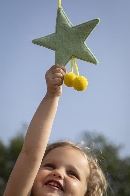 Star Ornament