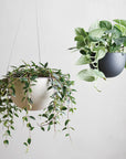 Hanging Plant Pot