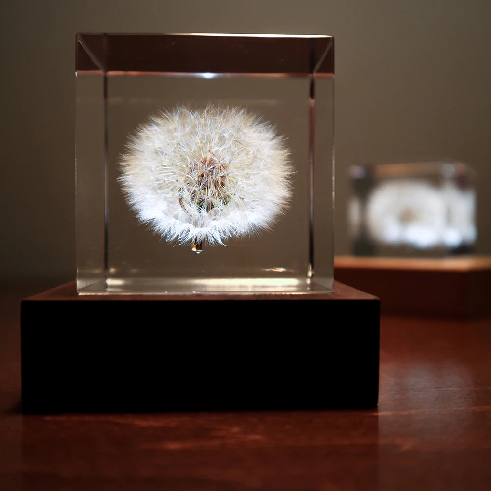 solacube Light Base6台 (solacubeは含みません) Sola Cube LED Light Base 5000K – STUDIO DEN