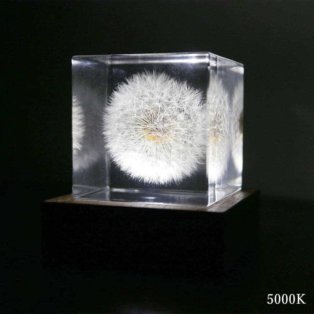 solacube Light Base6台 (solacubeは含みません) Sola Cube LED Light Base 5000K – STUDIO DEN