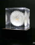 Sola Cube LED Light Base 5000K