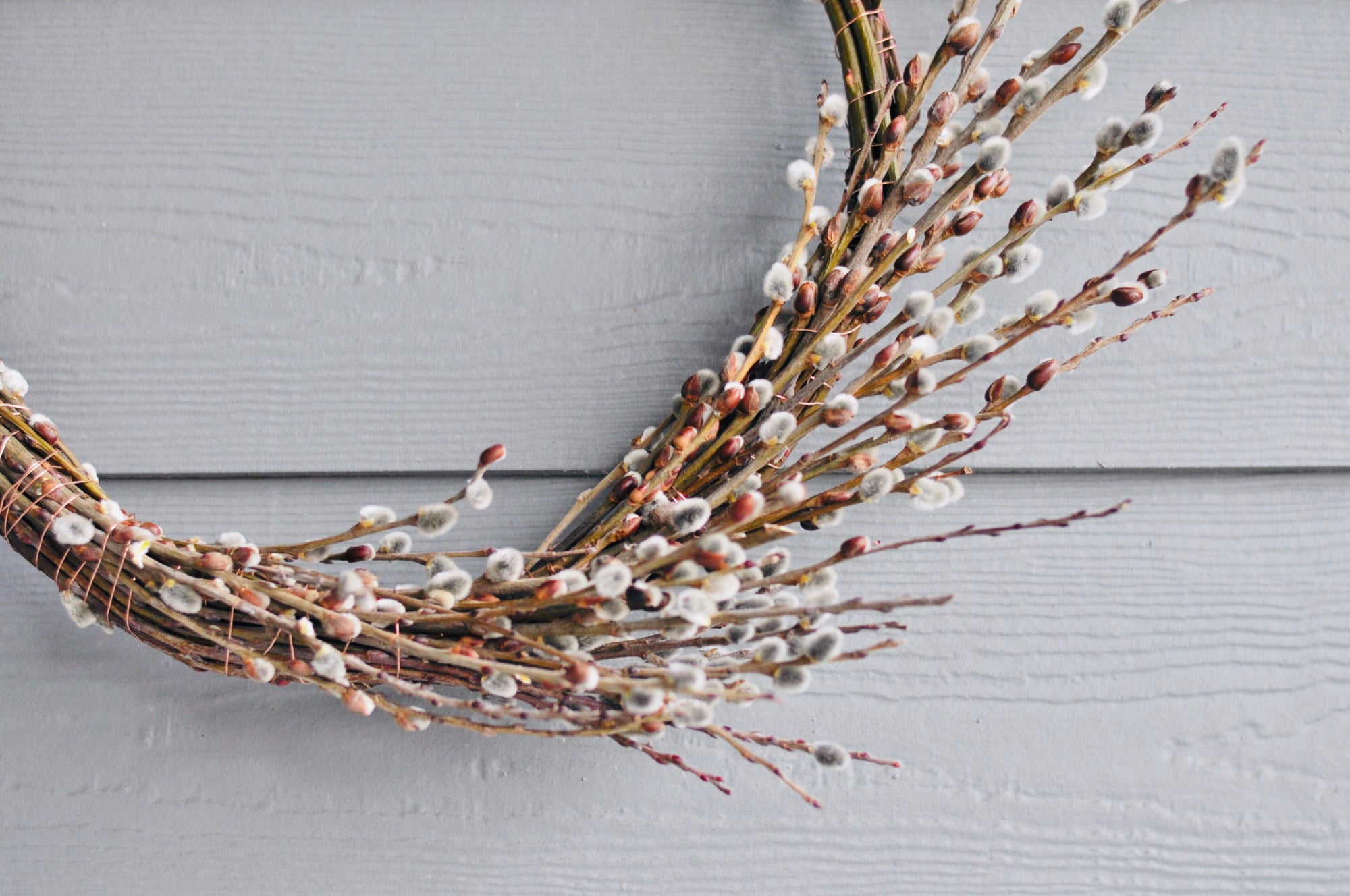 Pussy Willow Wreath with Clary Sage Studio