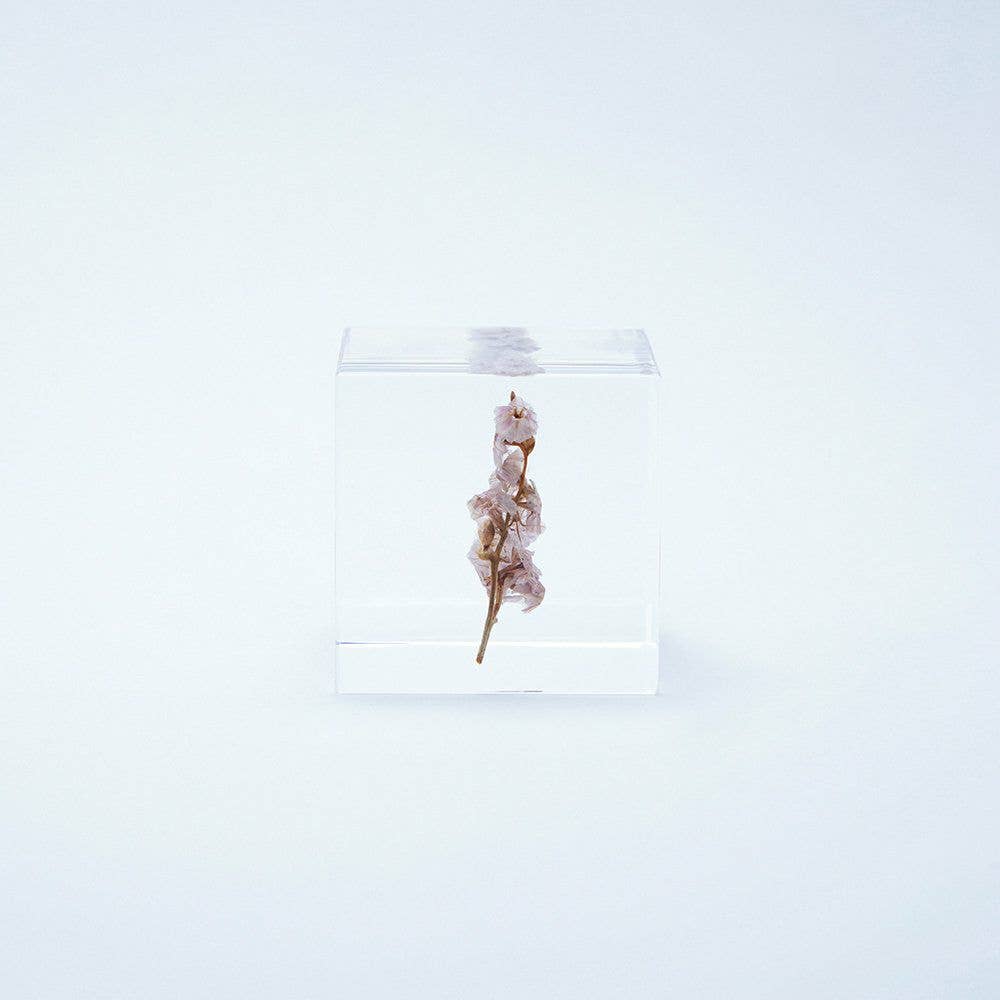 Sea Lavender Cube
