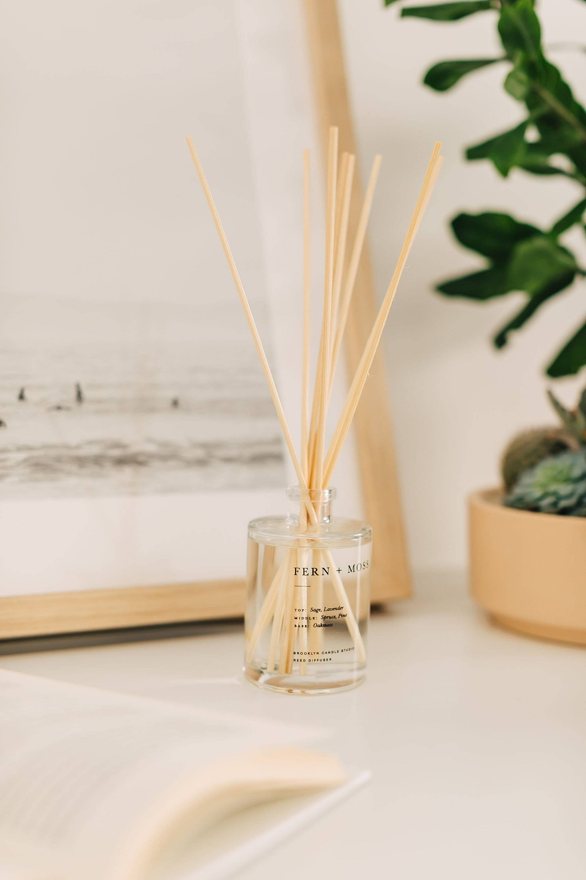 Fern + Moss Reed Diffuser