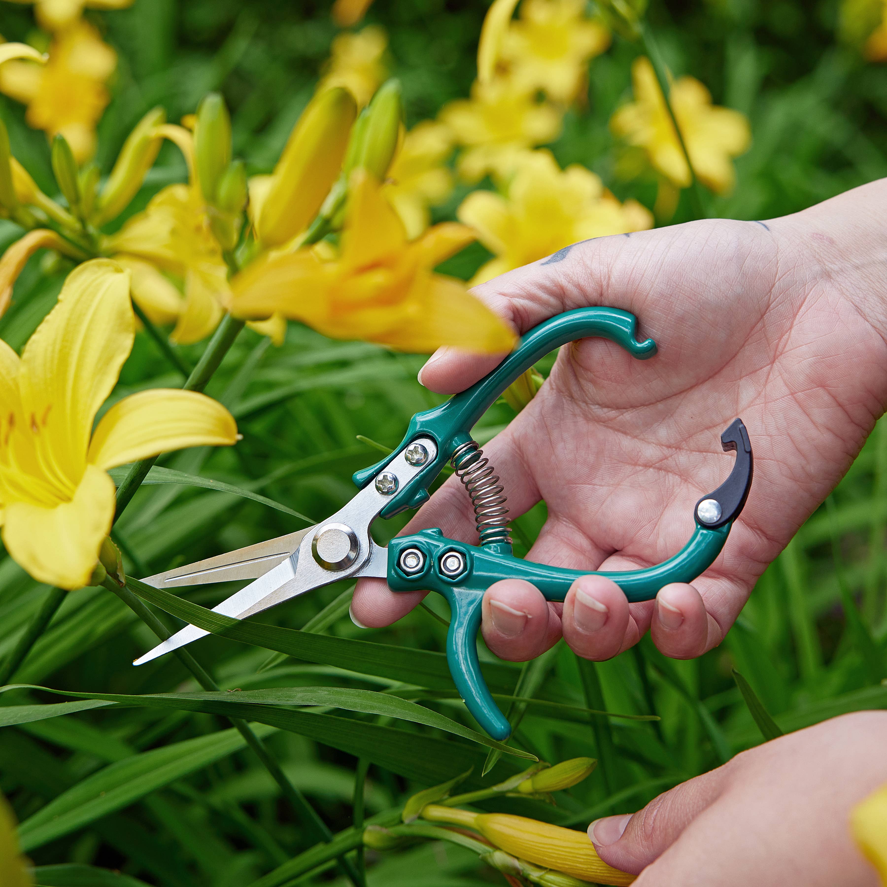Garden Shears