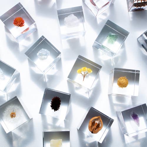 Immortelle Cube