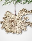 Mt Rainier Topography Ornament