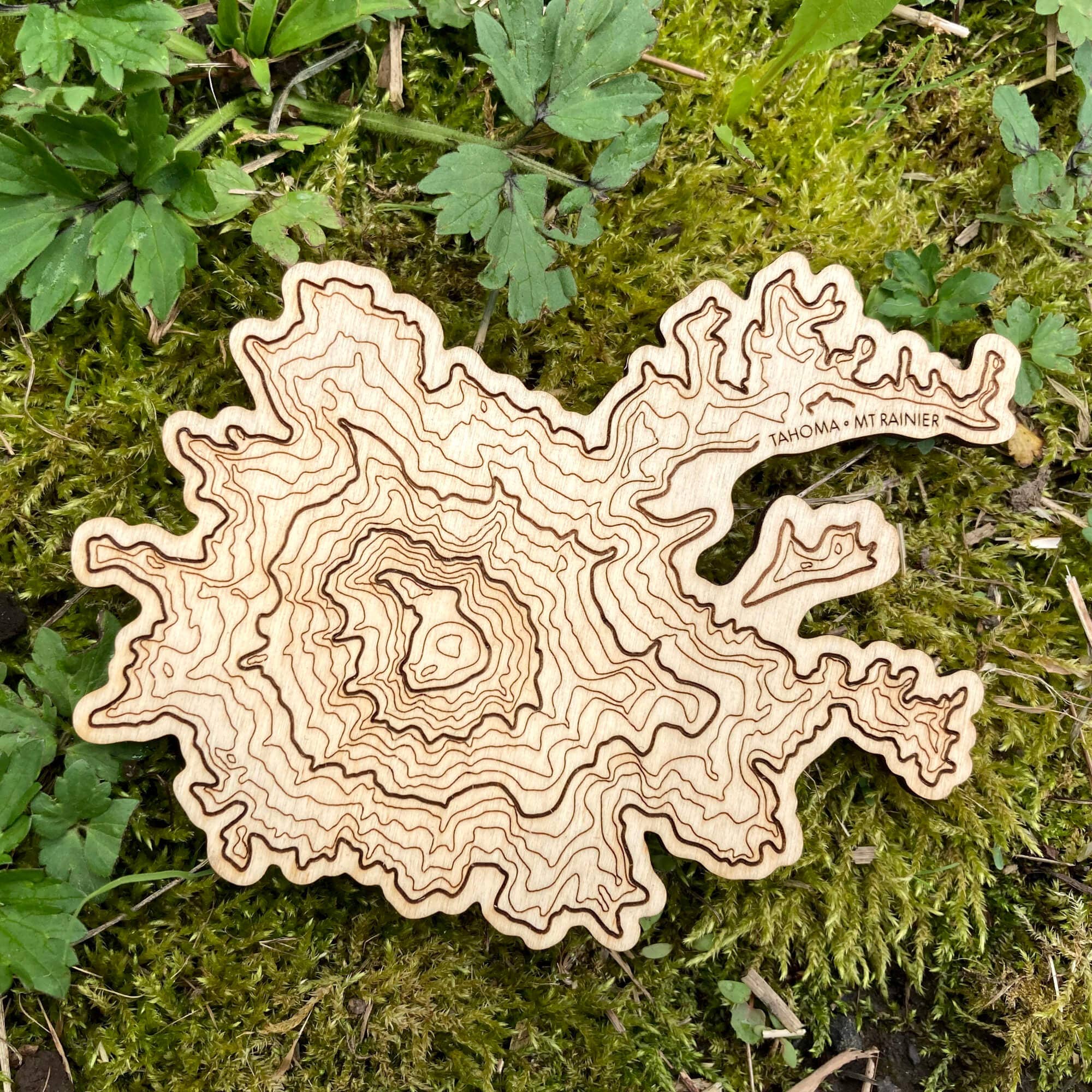 Mt Rainier Topography Coaster - Single - Thumbnail 3