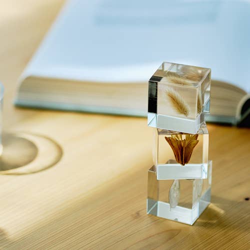 Yellow Fennel Flower Cube