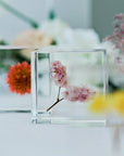 Sea Lavender Cube