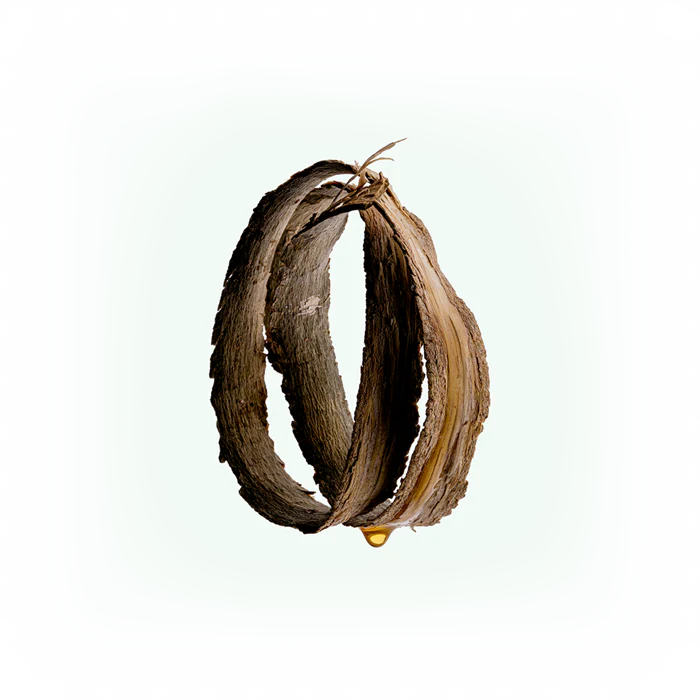 Corpus Naturals Body Scrub - Thumbnail 3