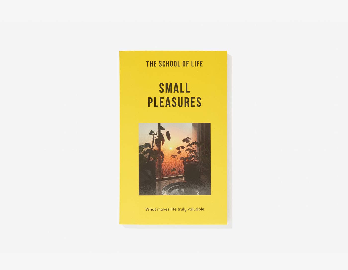 Small Pleasures