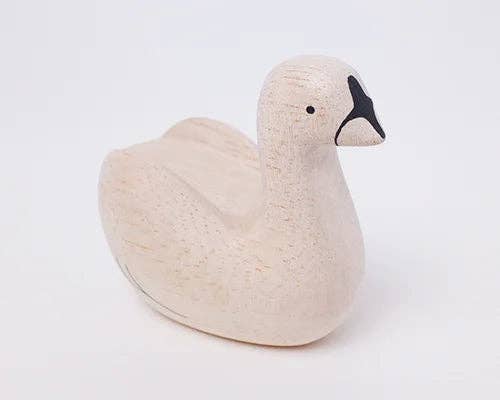 T-lab polepole animal SWAN 2024