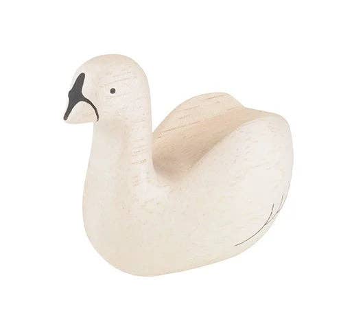 T-lab polepole animal SWAN 2024