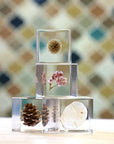 Sea Lavender Cube