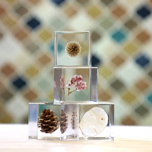 Globe Thistle Cube