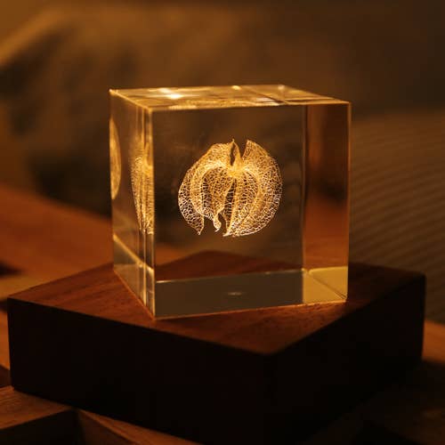 Sola Cube LED Light Base 5000K – STUDIO DEN