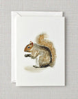 Squirrel mini notecard