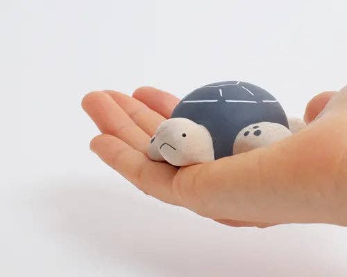 Sea Turtle 2025 Limited Version