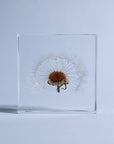 Sola Tile Dandelion - Botanical Decor Gift