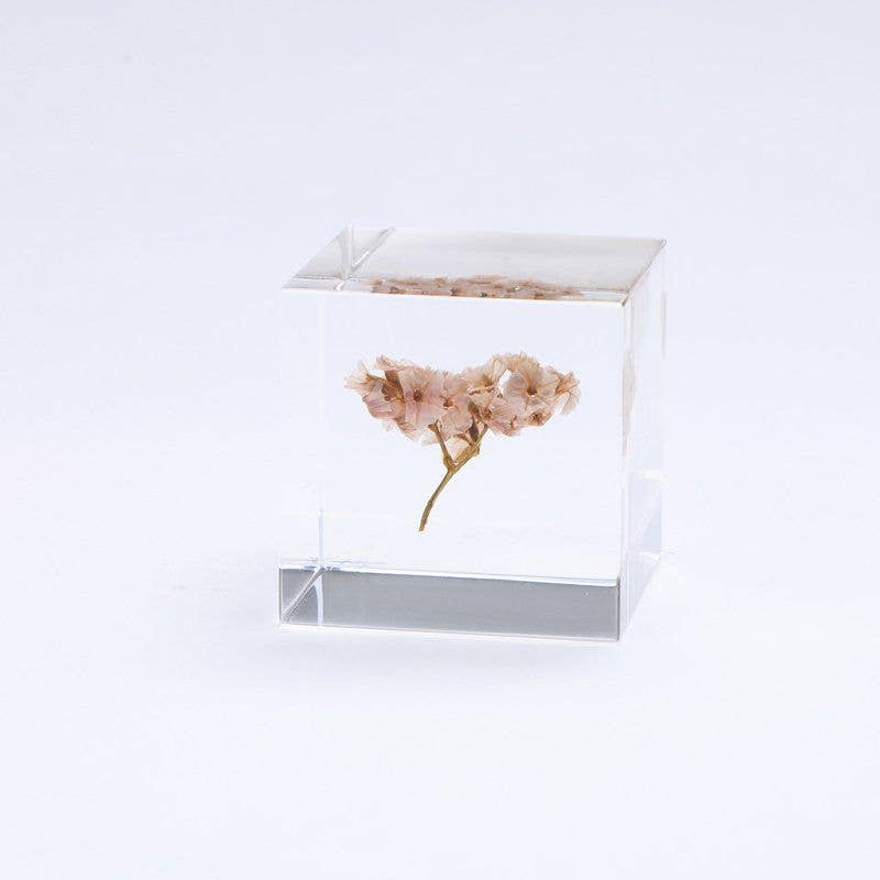 Sea Lavender Cube