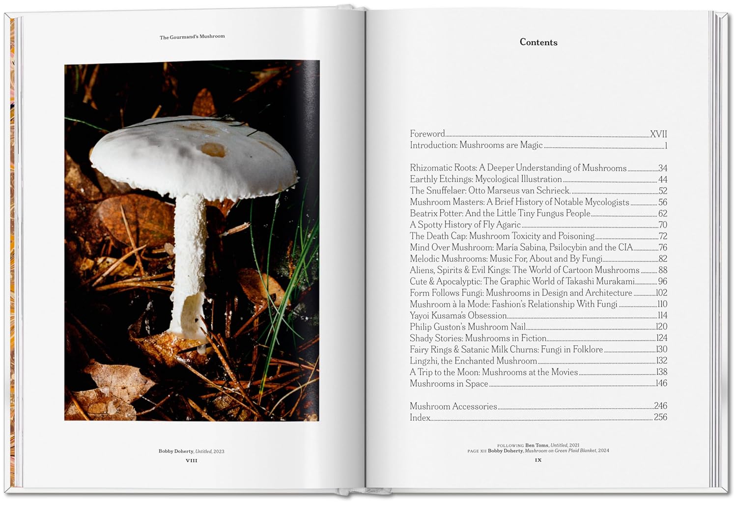 Gourmand's Mushroom. A Collection of Stories &amp; Recipes