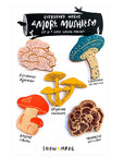 Mushroom Magnets - Set of 5 - Series 2