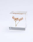 Sea Lavender Cube