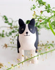 Boston Terrier